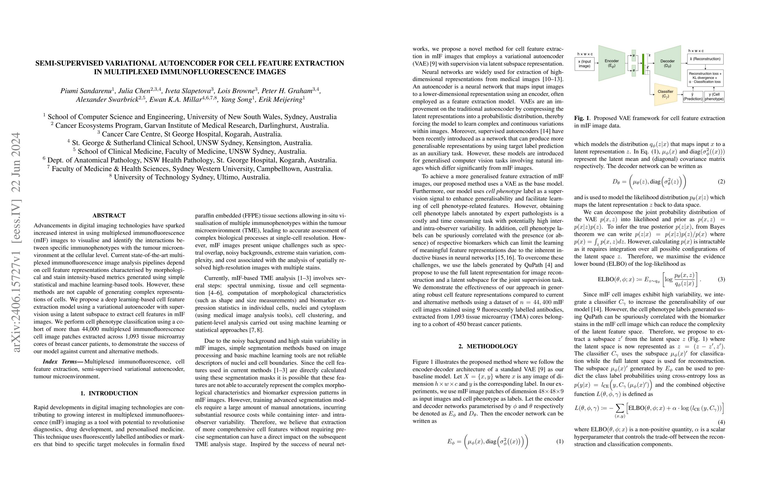 Semi-supervised variational autoencoder for cell feature extraction in ...